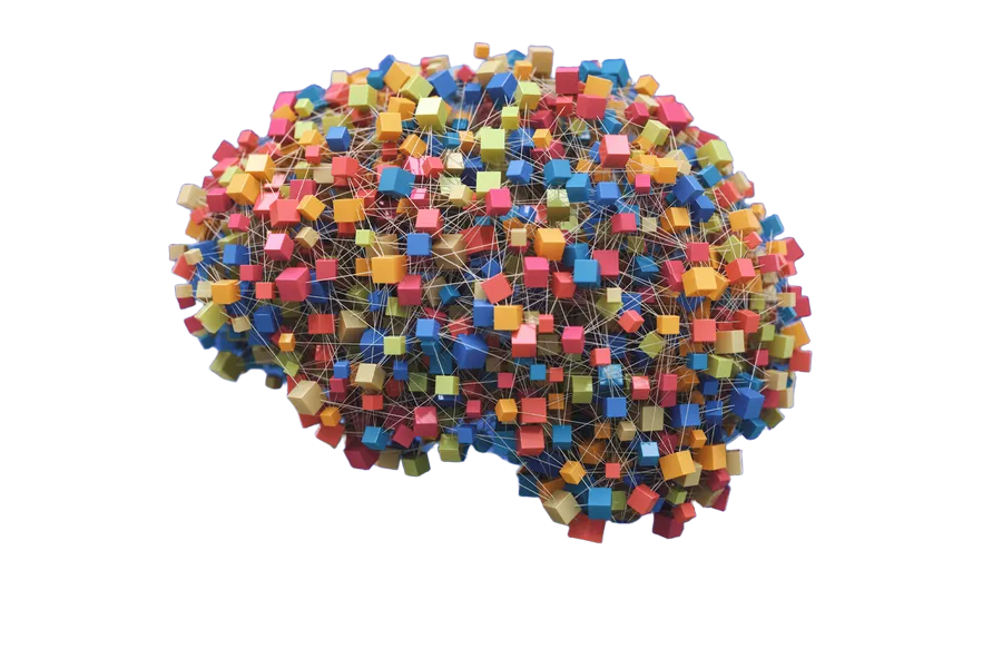 Learning Illustration